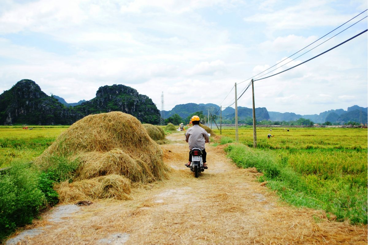 Local-life-around-Tam-Coc-Ninh-Binh-in-rice-season