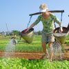 Be a farmer in vegetable village hoi an