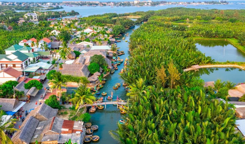 Coconut forest Hoi An 1