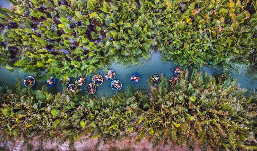 Coconut forest in Hoi An