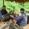 Cu Chi tunnels