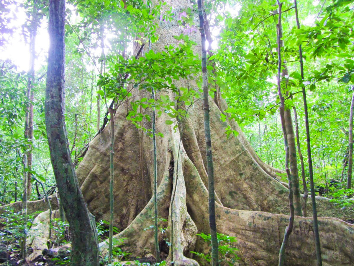 LAND-TOUR-2-THAM-QUAN-BAC-DAO-CHEO-KAYAK-KHAM-PHA-RACH-VEM-LAND-TOUR-2-DISCOVER-THE-NORTH-KAYAKING-STARFISH-BEACH-PHU-QUOC-1 LAND TOUR 2 THAM QUAN BAC DAO CHEO KAYAK KHAM PHA RACH VEM LAND TOUR 2 DISCOVER THE NORTH KAYAKING STARFISH BEACH PHU QUOC 1