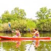 LAND TOUR 2 THAM QUAN BAC DAO CHEO KAYAK KHAM PHA RACH VEM LAND TOUR 2 DISCOVER THE NORTH KAYAKING STARFISH BEACH PHU QUOC 2