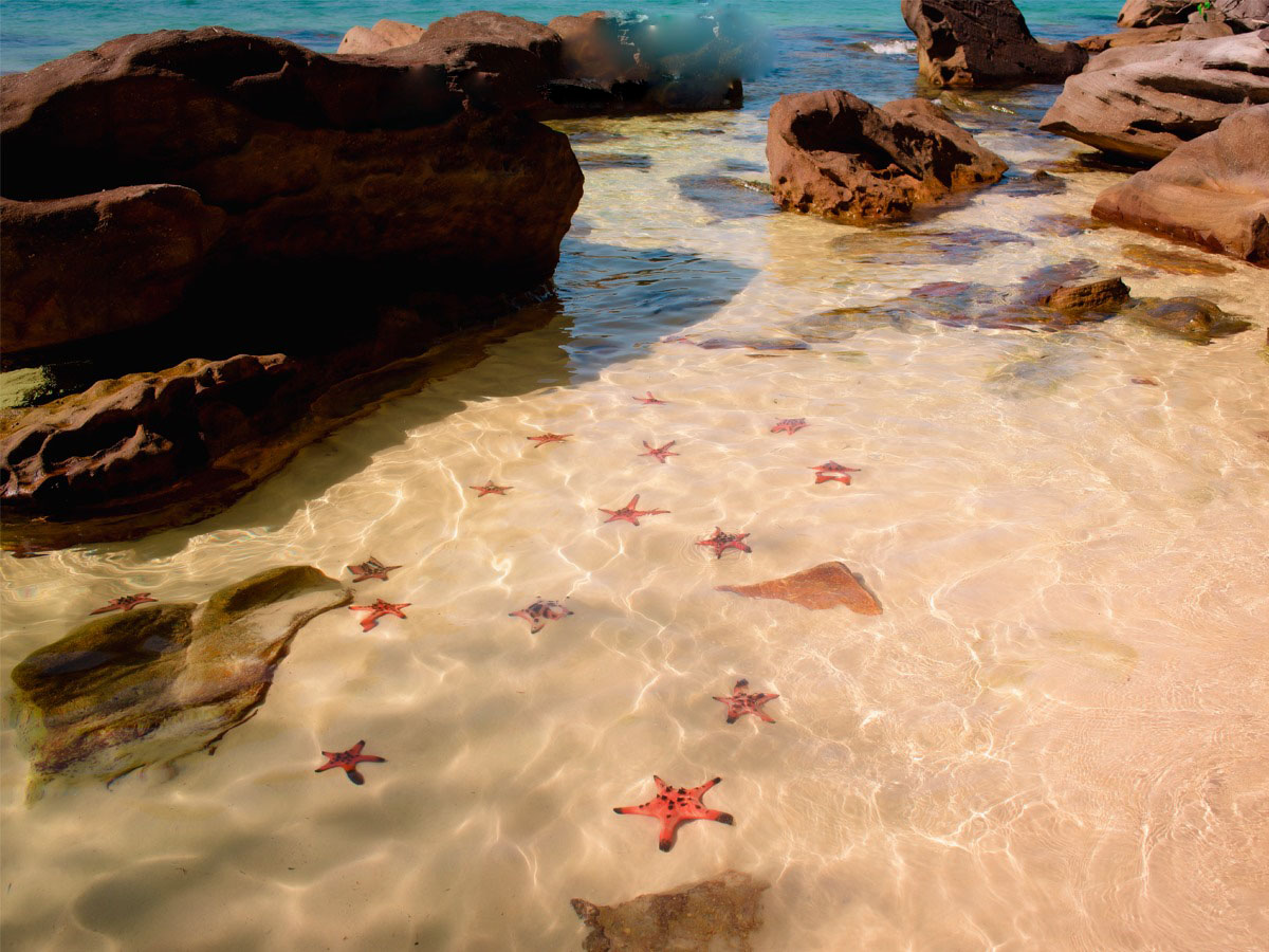 LAND-TOUR-2-THAM-QUAN-BAC-DAO-CHEO-KAYAK-KHAM-PHA-RACH-VEM-LAND-TOUR-2-DISCOVER-THE-NORTH-KAYAKING-STARFISH-BEACH-PHU-QUOC-7 LAND TOUR 2 THAM QUAN BAC DAO CHEO KAYAK KHAM PHA RACH VEM LAND TOUR 2 DISCOVER THE NORTH KAYAKING STARFISH BEACH PHU QUOC 7