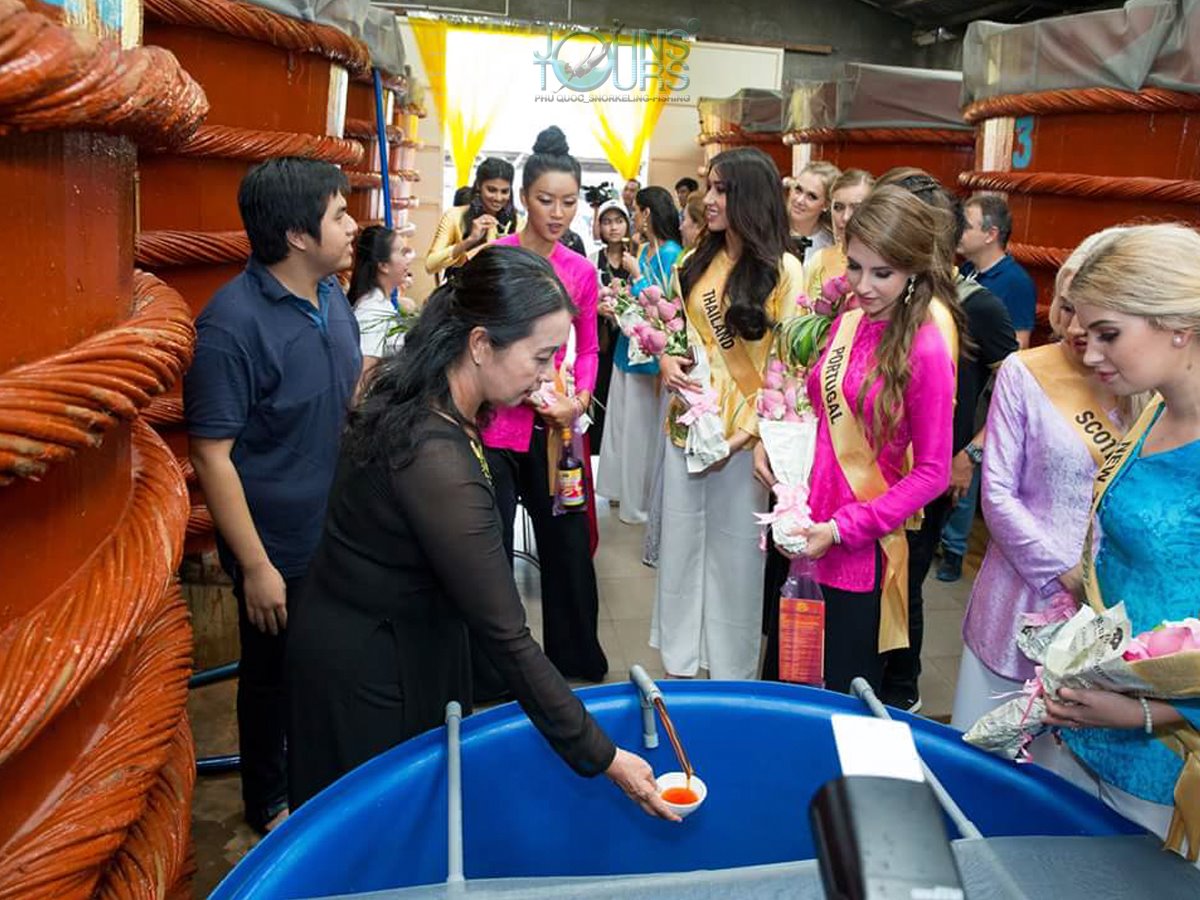 LAND-TOUR-3-THAM-QUAN-CA-DAO-NAM-DONG-BAC-DAO-LAND-TOUR-3-SIGHTSEEING-SOUTH-NORTH-TOGETHER-2 LAND TOUR 3 THAM QUAN CA DAO NAM DONG BAC DAO LAND TOUR 3 SIGHTSEEING SOUTH NORTH TOGETHER 2