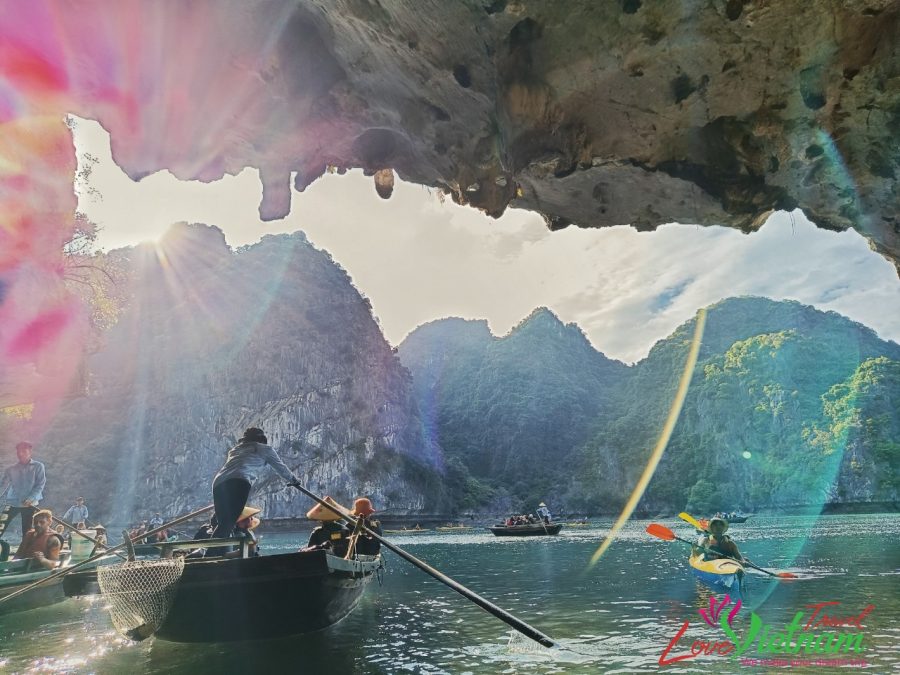 boat row in ha long