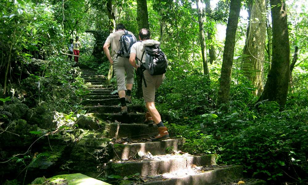 Hiking at cuc phuong national park cuc phuong national park tour3