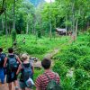 cuc phuong national park tour5