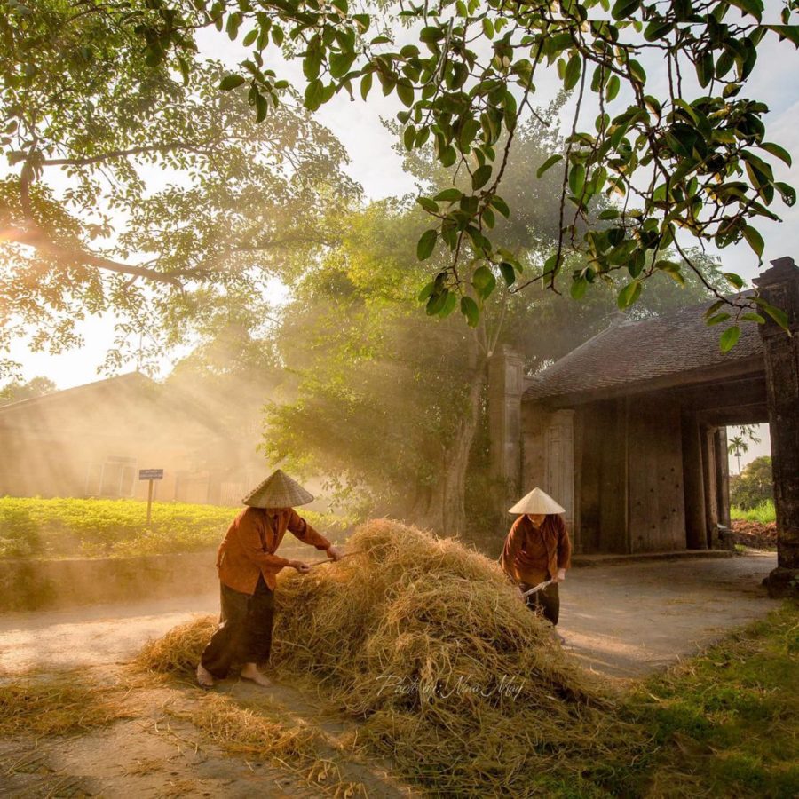 Duong Lam And Son Dong Villages 1 Day