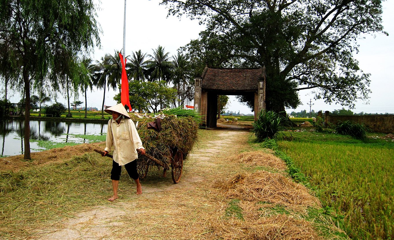 duong-lam-village3 duong lam village3