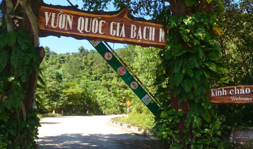 entrance bach ma