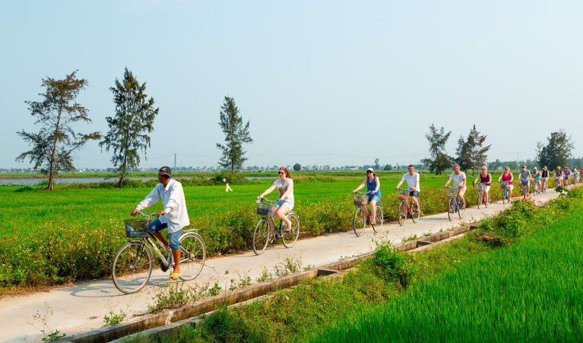 go to vegetable by bike