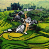 Unforgettable 2-Night Sapa Adventure: Luxury 4-Star Getaway