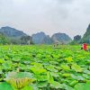 mua cave ninh binh 4