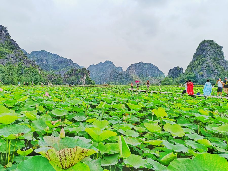 mua cave ninh binh 4 scaled