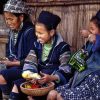 Sapa Trekking Tour 2 Days 1 Night