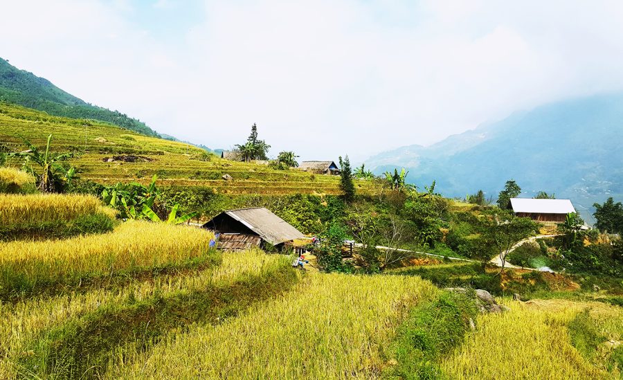 Sapa Trekking Tour 2 Days 1 Night