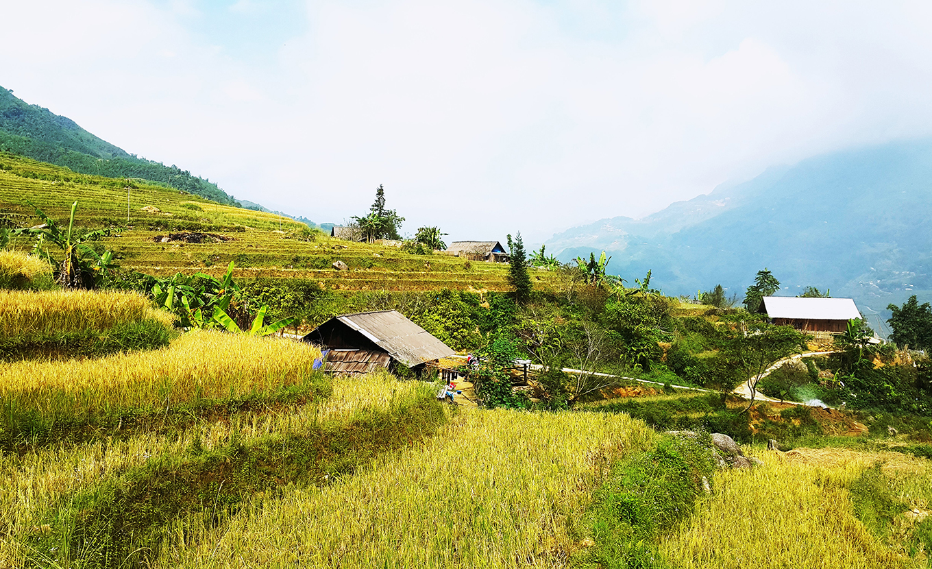 trekking in sapa 