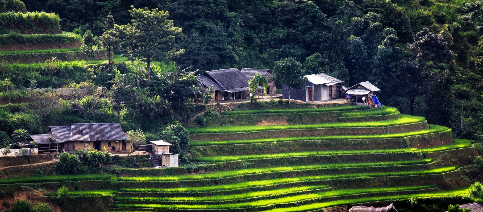 Sapa Bac Ha Market 3 Days 2 Nights