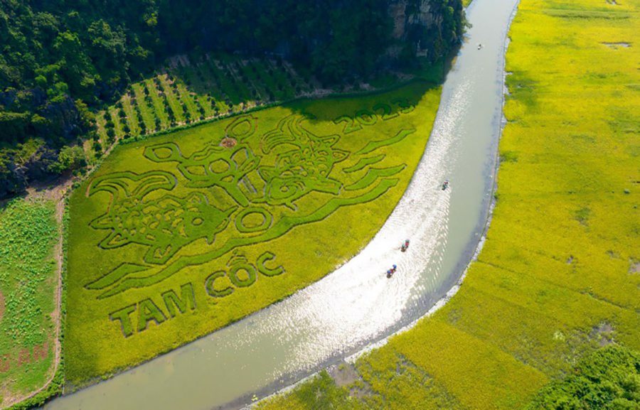 tam coc ninh binh 2