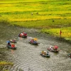 tam coc rice field 2