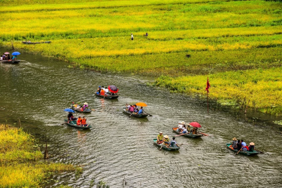 tam coc rice field 2