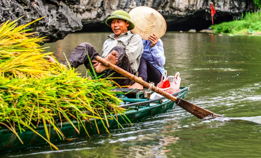 tam coc rice field 6 scaled