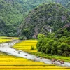 tam coc rice field 8