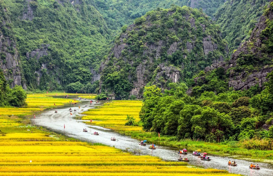 tam coc rice field 8 scaled