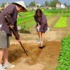 tra que vegetable village