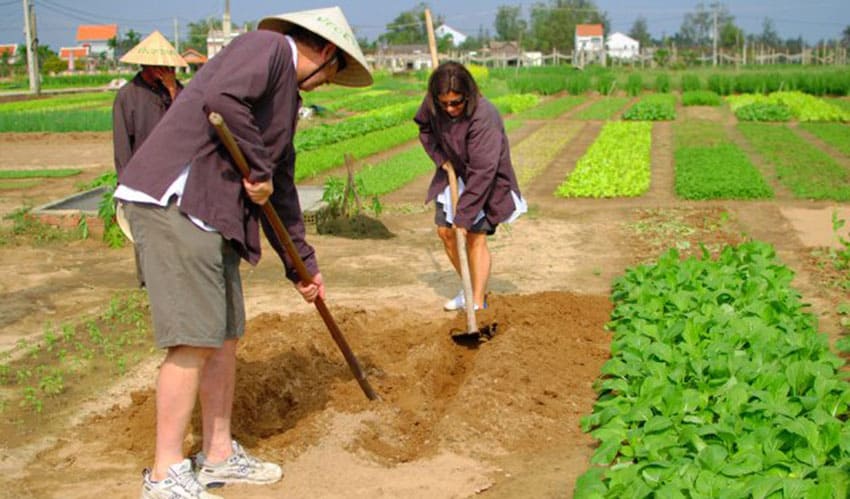 tra que vegetable village