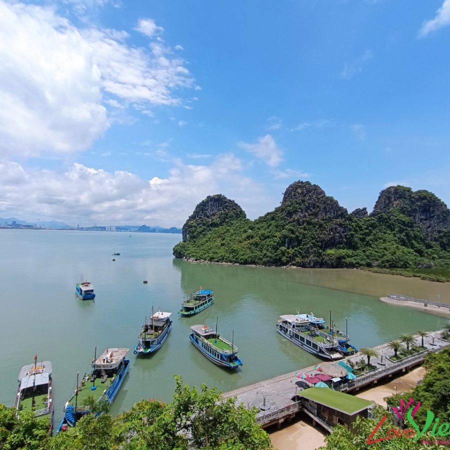 Private Tour Ha Long Bay 1 Day Share Cruise